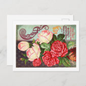 Briefkaarten voor zaadverpakking (Voorkant / Achterkant)