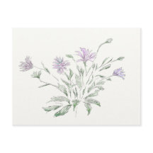 Briefkaarten waterverf