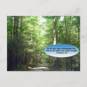 Briefkaarten: Weg in het bos Briefkaart