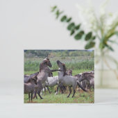 briefkaarten wilde hengleeuwen (Staand voorkant)