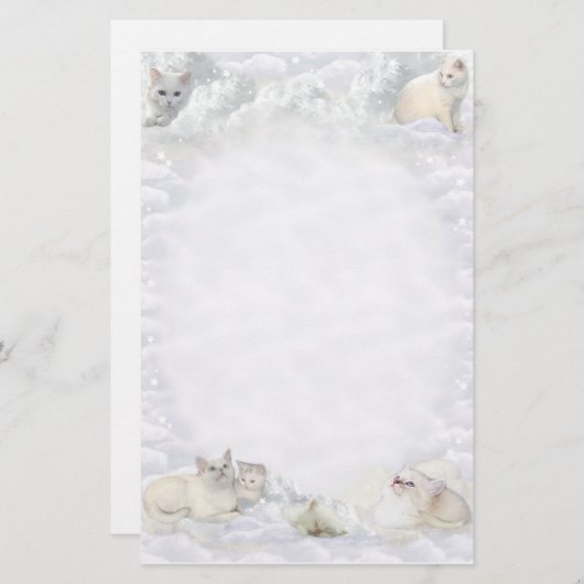 😽 BRIEFPAPIER (Voorkant / Achterkant)