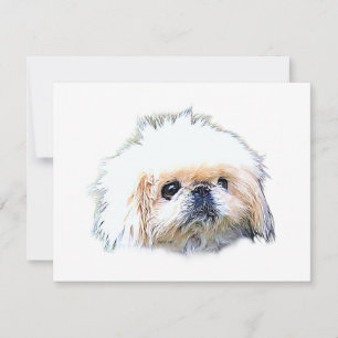 Briefpapier blanco briefkaarten met Marcus