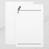 Briefpapier - Blue Jay (Voorkant / Achterkant)