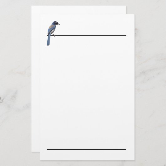 Briefpapier - Blue Jay (Voorkant / Achterkant)
