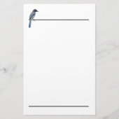 Briefpapier - Blue Jay (Voorkant)