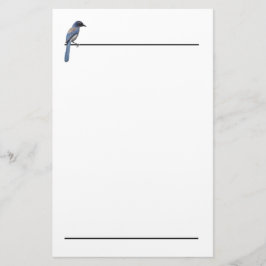 Briefpapier - Blue Jay