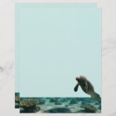 Briefpapier van Manatee (Voorkant / Achterkant)