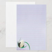briefpapier voor waterbloemen (Voorkant / Achterkant)