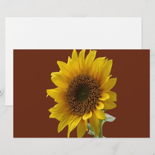 Briefpapier zonnebloem (Voorkant / Achterkant)