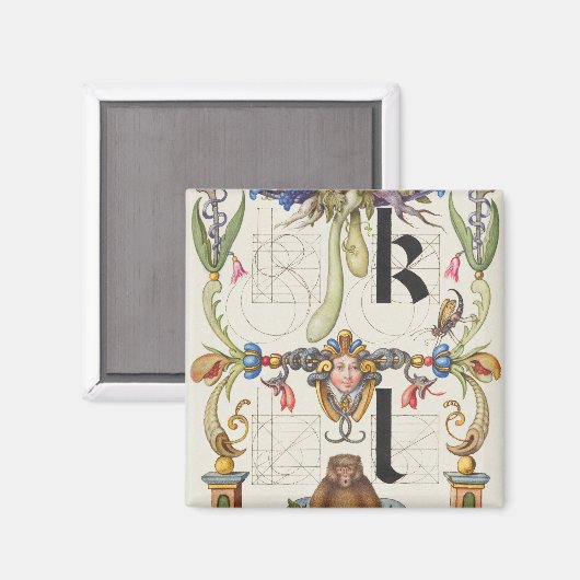 Brieven k en l van Mira Calligraphiae Monumenta Magneet (Voorkant / Achterkant)