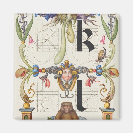 Brieven k en l van Mira Calligraphiae Monumenta Magneet (Voorkant)