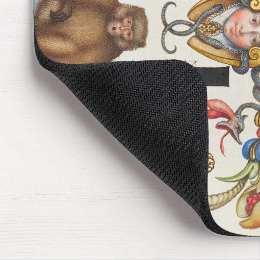 Brieven k en l van Mira Calligraphiae Monumenta Muismat (Hoek)