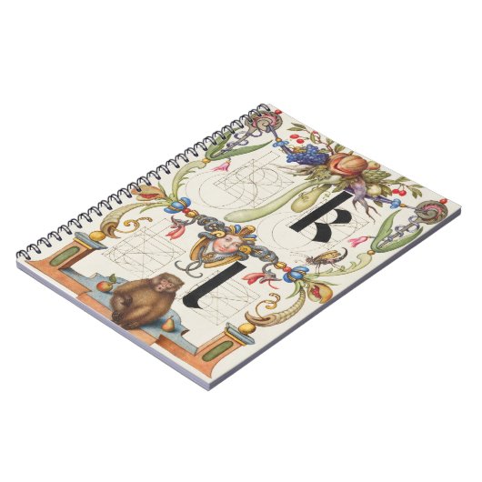 Brieven k en l van Mira Calligraphiae Monumenta Notitieboek (Linkerzijde)