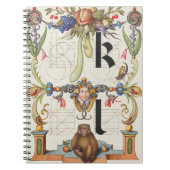 Brieven k en l van Mira Calligraphiae Monumenta Notitieboek (Voorkant)