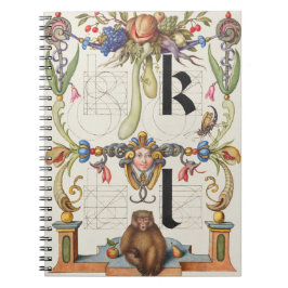 Brieven k en l van Mira Calligraphiae Monumenta Notitieboek