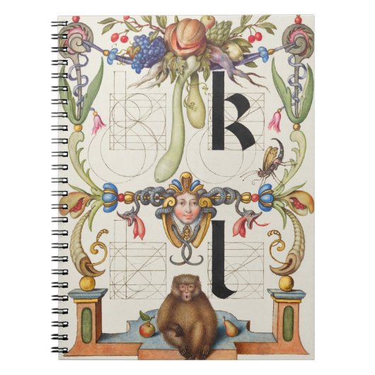 Brieven k en l van Mira Calligraphiae Monumenta Notitieboek (Voorkant)