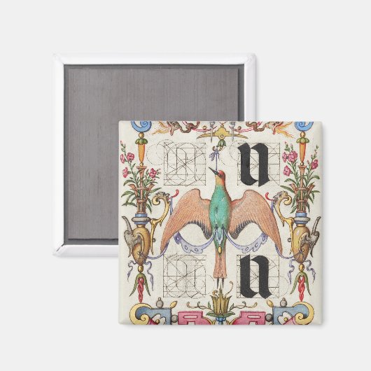 Brieven U en V Mira Calligraphiae Calligrafie Magneet (Voorkant / Achterkant)