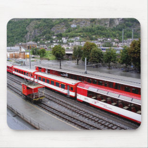 Brig station in Zwitserland Muismat