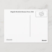 Brigada Muralista Ramona Parra - Chili Briefkaart (Achterkant)