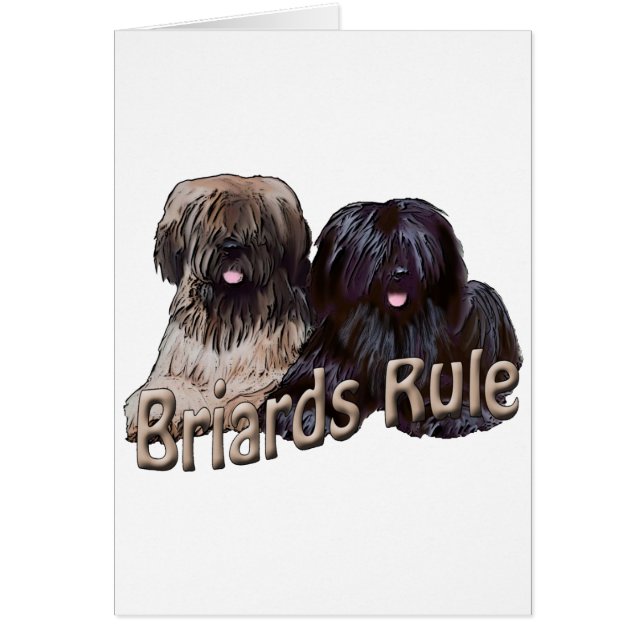 brigaderegel (Voorkant)
