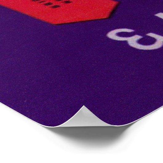 Brigantine Castle Poster (Hoek)