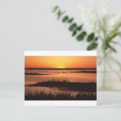 Brigantine NWR op Sunset.jpg Briefkaart (Staand voorkant)