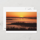 Brigantine NWR op Sunset.jpg Briefkaart (Voorkant / Achterkant)