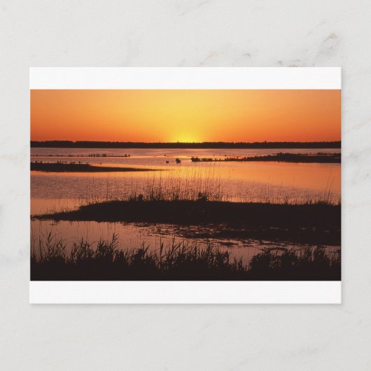 Brigantine NWR op Sunset.jpg Briefkaart (Voorkant)