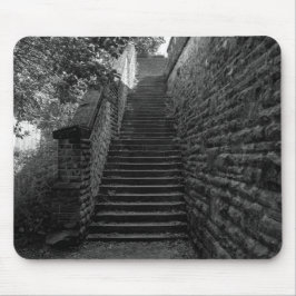 Brighouse Steps - West Yorkshire Muismat