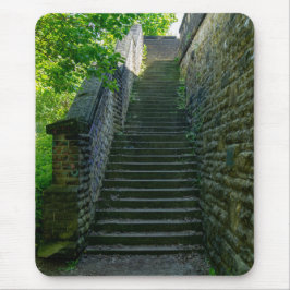 Brighouse Steps - West Yorkshire Muismat