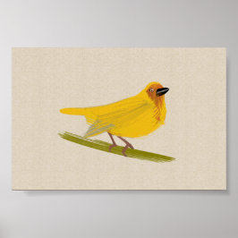 Bright African Bird Weaver Poster