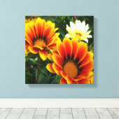 Bright African Daisies Canvas Afdruk (Insitu (Houten vloer))
