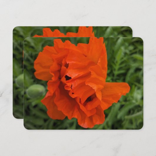 Bright and Cheerful Invitation Kaart (Voorkant / Achterkant)