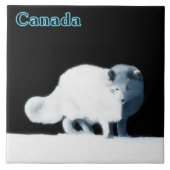 Bright Arctische vos Tegeltje (Voorkant)