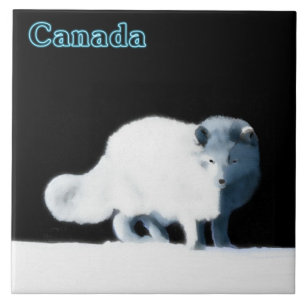 Bright Arctische vos Tegeltje