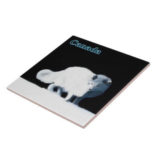 Bright Arctische vos Tegeltje (Zijkant)