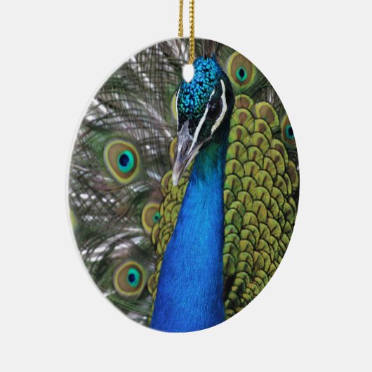 Bright Blauw en Groen Peacock w Feathers geopend Keramisch Ornament (Rechts)