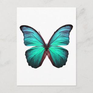 Bright Blauwgroen vlinder Briefkaart