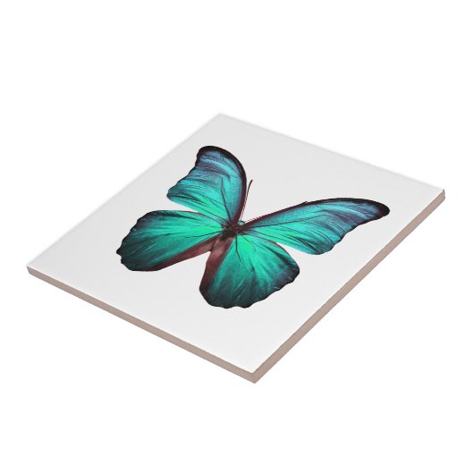 Bright Blauwgroen vlinder Tegeltje (Zijkant)