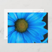 Bright Blue Daisy Briefkaart (Voorkant / Achterkant)