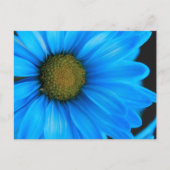 Bright Blue Daisy Briefkaart (Voorkant)