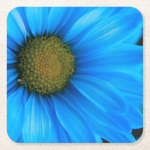 Bright Blue Daisy Kartonnen Onderzetters