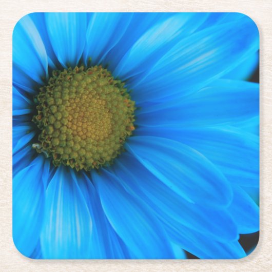 Bright Blue Daisy Kartonnen Onderzetters (Voorkant)