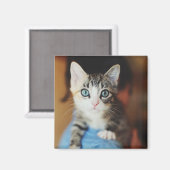 Bright Blue Eyed Kitten Magneet (Voorkant / Achterkant)