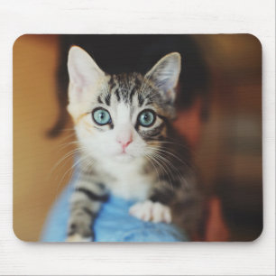 Bright Blue Eyed Kitten Muismat
