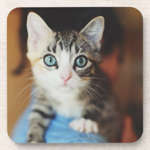 Bright Blue Eyed Kitten Onderzetter