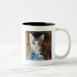 Bright Blue Eyed Kitten Tweekleurige Koffiemok