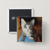 Bright Blue Eyed Kitten Vierkante Button 5,1 Cm (Voorkant /achterkant)