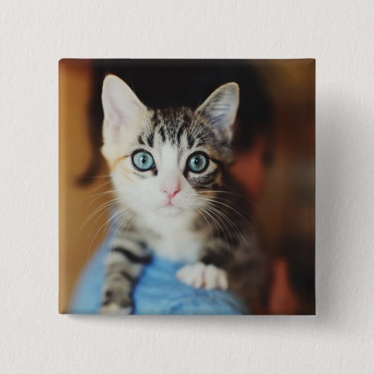 Bright Blue Eyed Kitten Vierkante Button 5,1 Cm (Voorkant)