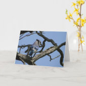 Bright Blue Jay Kaart (Gele Bloem)